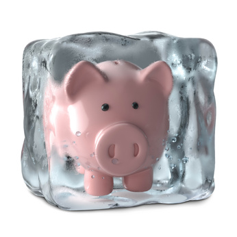 豚の貯金箱　凍結