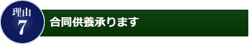 理由7